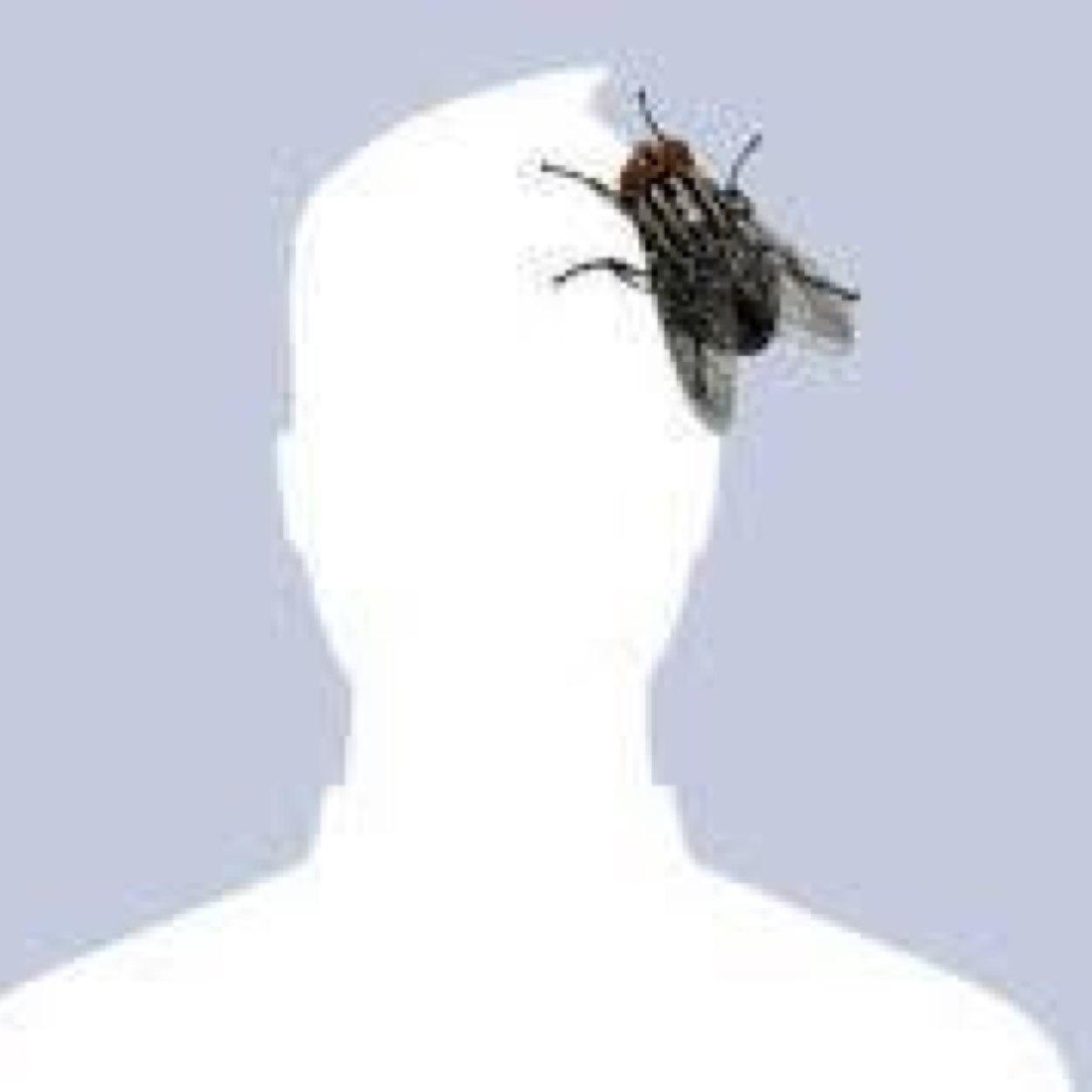 66Obied's profile picture. 