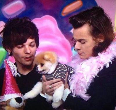 Amo HARRY STYLES e tenho orgulho disso! Eu shippo Ziam e Larry ! quem shippa tbm meu whatsapp eh esse 91472317 !!