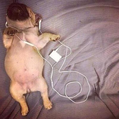 ฉันกำลังโดนแม่กดดันเรื่องเกรด 555555 '  เครียด ฝุดๆ ... = =