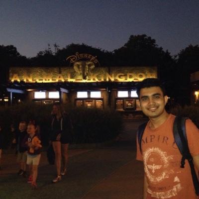 shreeramm Profile Picture