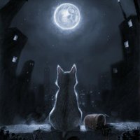 Zeynep  Ekşi (@zeeksi) Twitter profile photo