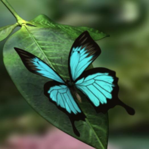 FanySmilee's profile picture. Fan de muchos animes y algunas series. Ante todo soy SERSI SERSI SERSI, y hago lo que me da la gana