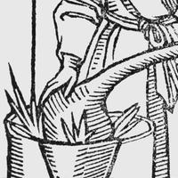 Alembic Rare Books (@alembicbooks) 's Twitter Profile