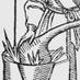 Alembic Rare Books (@alembicbooks) Twitter profile photo Alembic Rare Books (@alembicbooks) Twitter profile photo