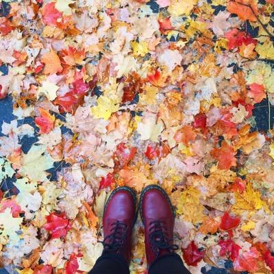 jdelongchamp's profile picture. sustainability enthusiast. iced coffee fiend. forgiving & forgetful. searching endlessly for balance and people that make me giggle