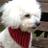 lawr1106's profile image
