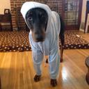 Robin Braden - @pennygigs - Twitter