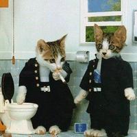 マツバラヒデノリ🍑🍈🔥 (@hidenorider_696) 's Twitter Profile Photo