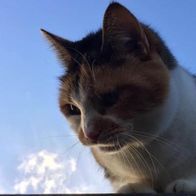 LiloKane's profile picture. 