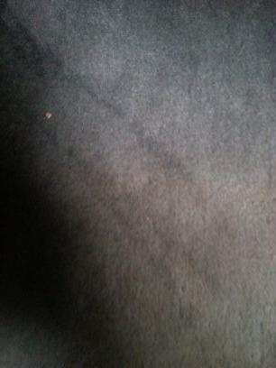 MarcusDrewHoe's profile picture. 