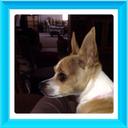 Judi Wright - @RjJudi - Twitter