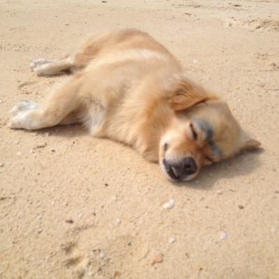 JLB_1982's profile picture. 