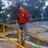 Ariteshsachan's profile image