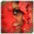 textmedbepi1973's profile image