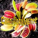 Isabel Vidal - @DeMenteCarnivor - Twitter