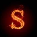 Sizzle_nBMLG's profile picture. Celtics Are Life