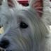 Lourdes M Kinney, NBCT (@kinderluly) Twitter profile photo