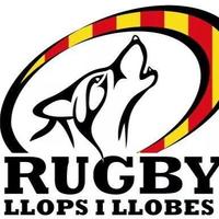 Llopsillobesrugby (@llopsllobesurv) 's Twitter Profile