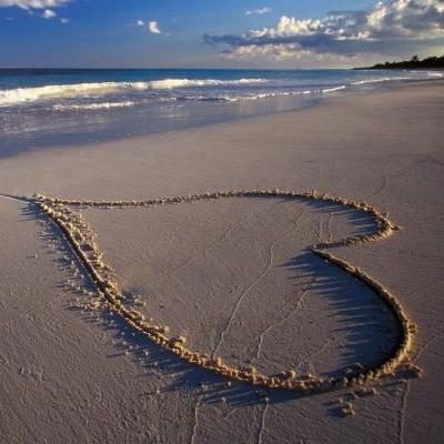 Dasha_KM17's profile picture. 