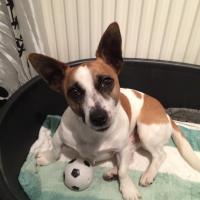 ========ZAK======== (@zak_in_merthyr) 's Twitter Profile