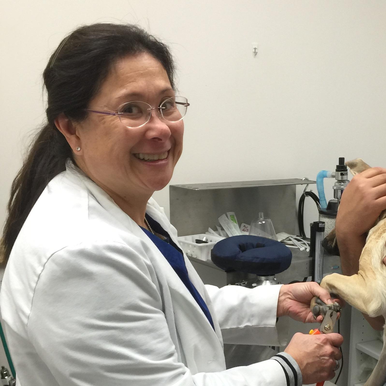 drwalkerdvm1's profile picture. 