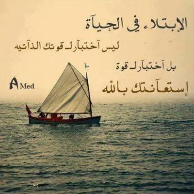ابـو محمـــد