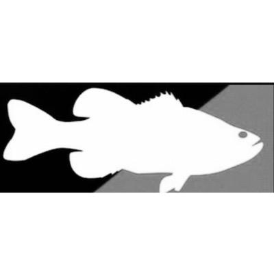 Tag us in your fishing posts and we will post them on this page.      @BigBassMasters