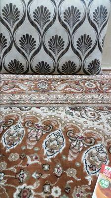 sasref2323's profile picture. 