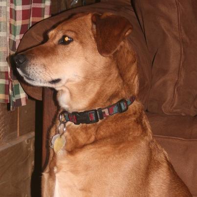 esg6string's profile picture. Distorted History Podcast