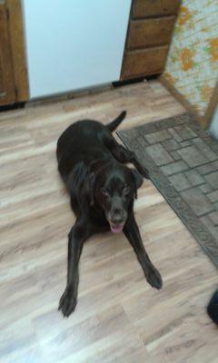 ErinLidle's profile picture. 