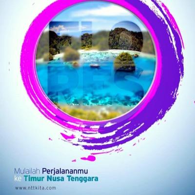 nttkitadotcom's profile picture. 