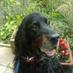 Elaine Oliver (@elaine181) Twitter profile photo Elaine Oliver (@elaine181) Twitter profile photo