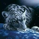 Bernardo Salinas - @BerGore321 - Twitter