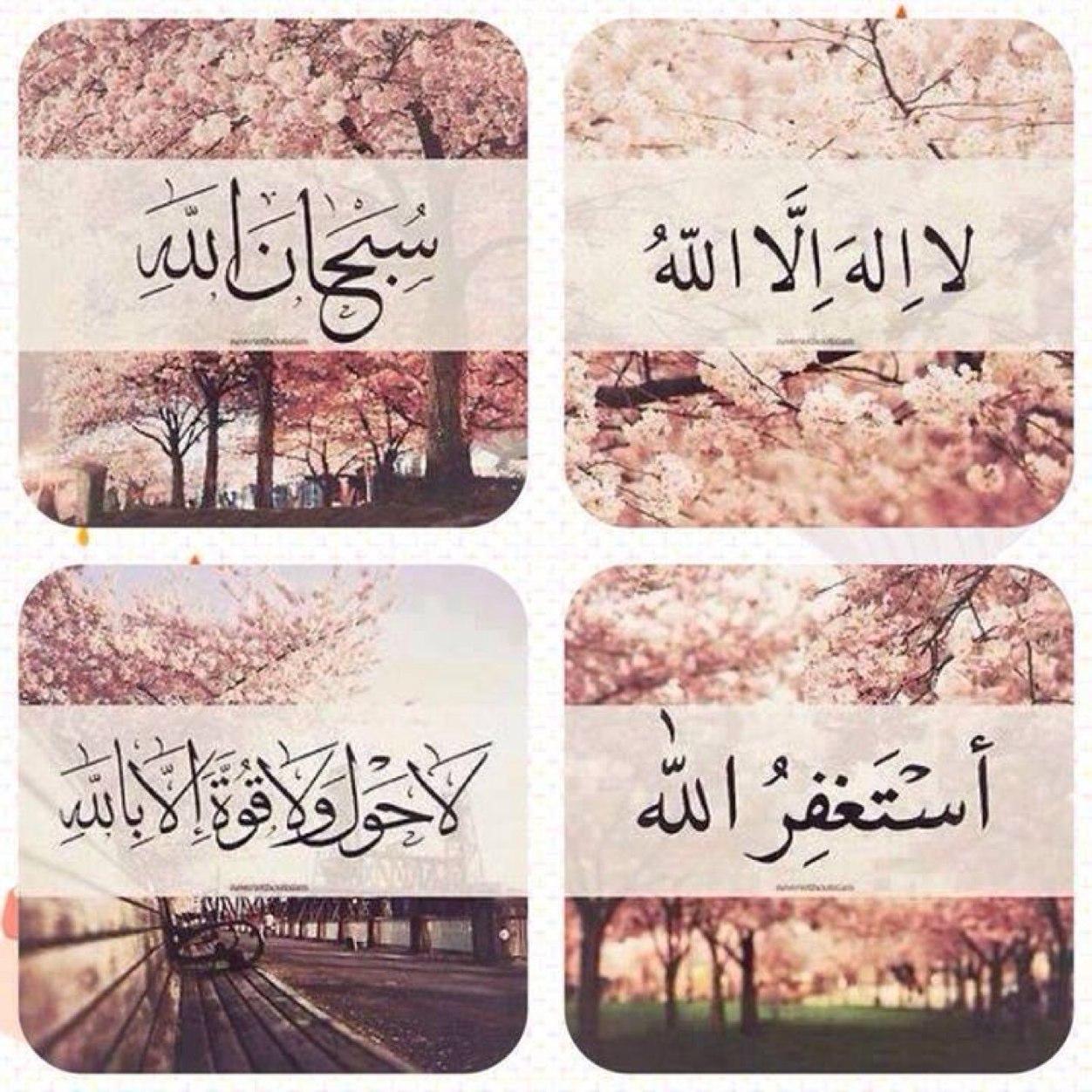 الحب بلا والعشق جزاء