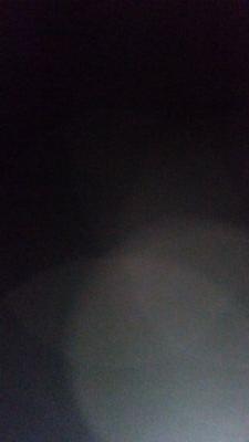 plrx24's profile picture. 