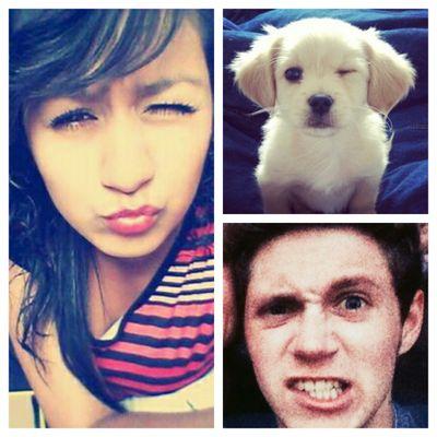 right now! follow me blue ayes niall horan  ♥