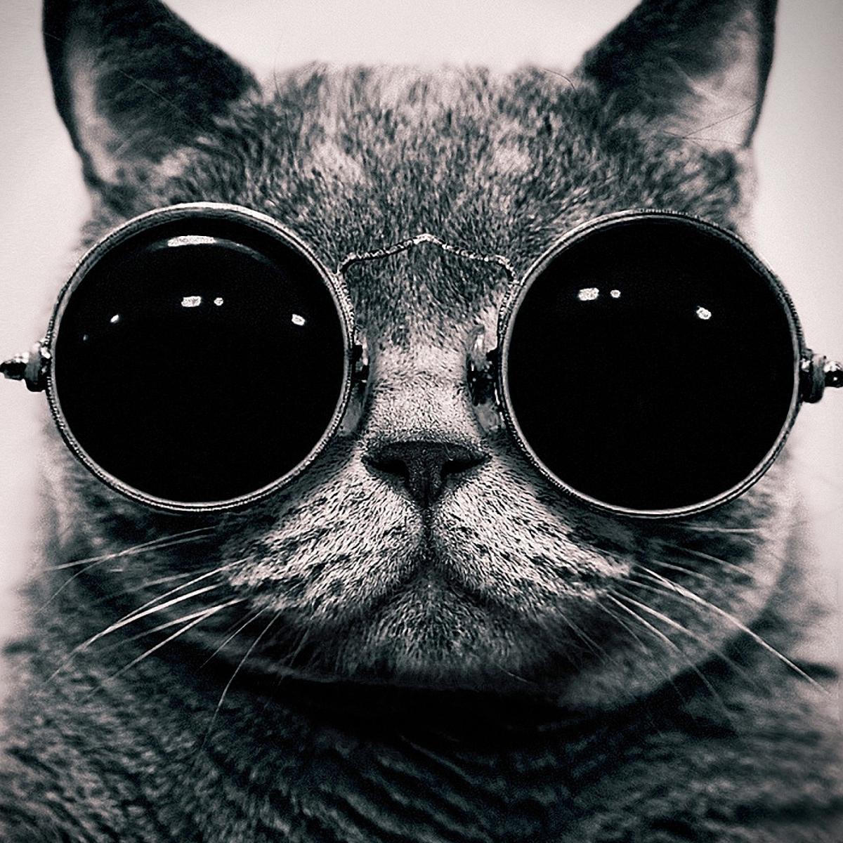 ♍ Başak ♍ Twitter'ı sevdiğim için değil alternatifsiz olduğu için kullanıyorum.