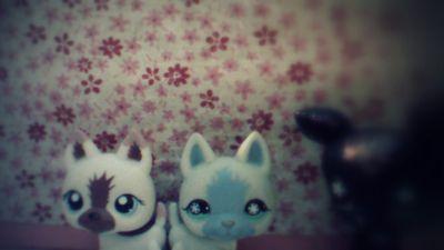 IceclawLPS's profile picture. 