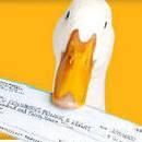 I assist both companies & individuals in navigating their Aflac insurance needs. I can help you understand why people need supplemental benefits!