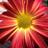 AnnTPayne's profile image