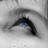 fedesigncip's profile image