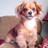 teddym54's profile image