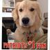 Paul Steber (@patsfan0826) Twitter profile photo