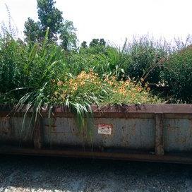 A tributary creek to the mighty Buffalo Bayou in H-Town.  Follow us as we clean ourselves up - with your help, of course!