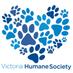 vhsanimalrescue (@vhsanimalrescue) Twitter profile photo vhsanimalrescue (@vhsanimalrescue) Twitter profile photo