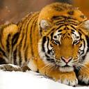 Kenya Mcdonald - @kenya_mcdonald - Twitter