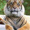 Greg addis - @AddisGreg - Twitter