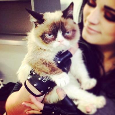 I Aint Nice AJ And Foxy Or Dead To Me Im A Loveble Cat Lady (Crazy Sometimes) My Bestie @TheSexyLanaWWE Shes My Only Friend Yes Im Single (RP/BIsexual/Girl) :)