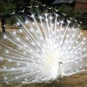 Gale Marie Cooley - @galemariecooley - Twitter