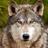 CSDA_News's profile image